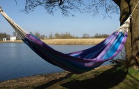 Viol farvene hængekøje af fast-vævede bomuldsklud til 2 personer